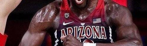  艾顿24+19+5太阳防守制胜擒鹈鹕  